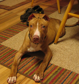 Petey